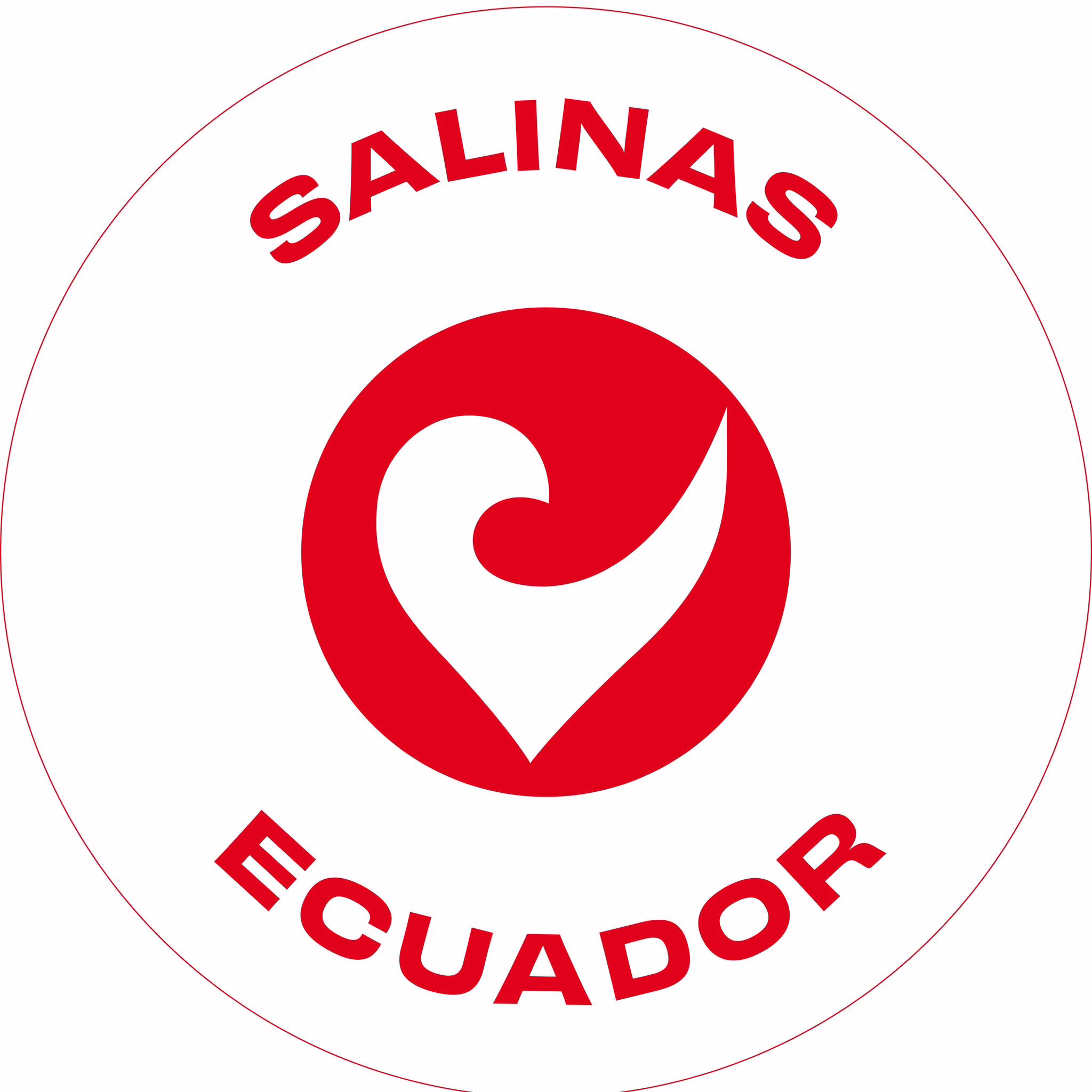 Salinas Challenge